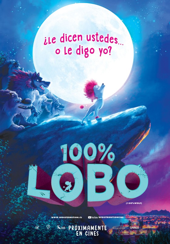 100 Lobo